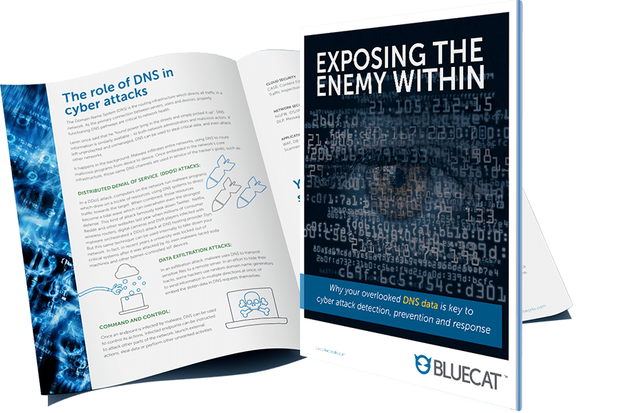 Exposing the Enemy Within