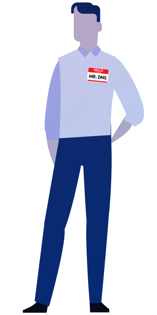 Mr. DNS