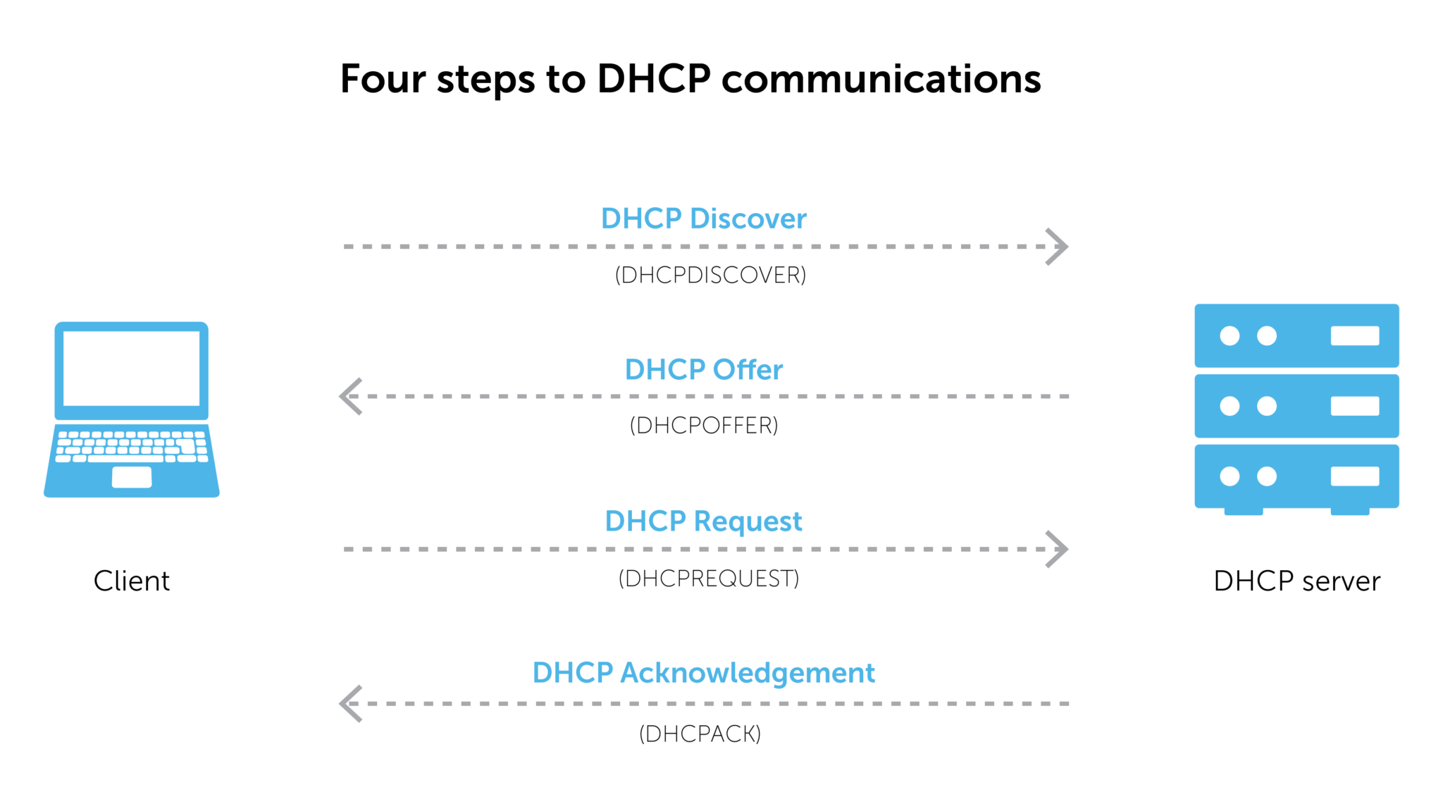 dhcp address assignment process